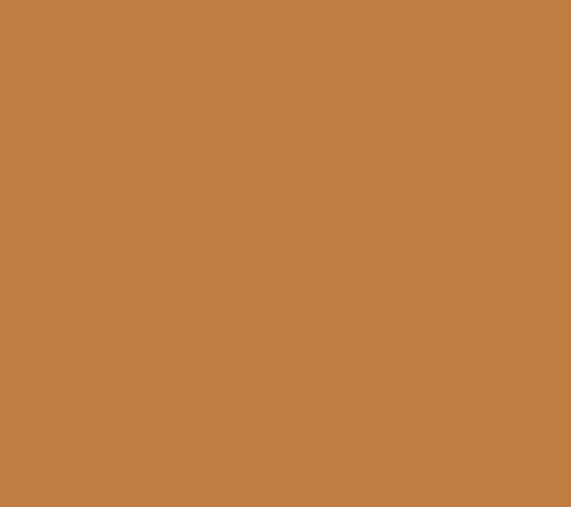 Herbst Kampagne orange